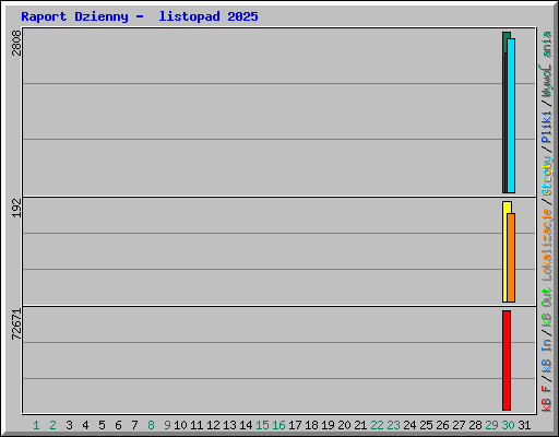 Raport Dzienny -  listopad 2025