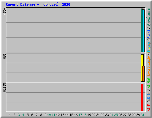 Raport Dzienny -  styczeń 2026