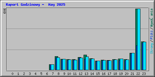 Raport Godzinowy -  May 2025