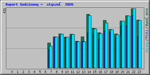 Raport Godzinowy -  styczeń 2026